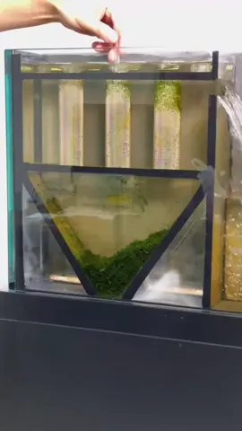 Chế tách phân cho bộ lọc hồ cá #sangtao #chetao #lọchồcá #tachphan #nuoica 
