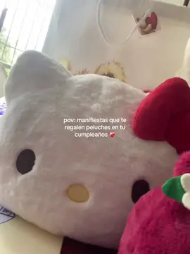 🥹🥹🥹#hellokitty #peluches #lonzo #floreseternas 
