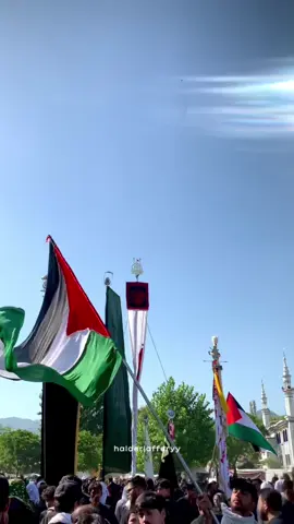 Markazi Jaloos 9 Moharram 2024, G-6/2 Islamabad  #yahussain #salamyahussain #labaik_ya_hussain #yaabbas #yaghaziabbas #alamdar #alam #alampak #yaghazi #noha #moharram2024 #haiderjafferyy 