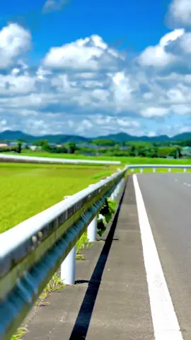 田舎の夏は最高☀️ #田舎 #田舎の風景 #風景 #風景動画 #夏 #日常の風景 #海 