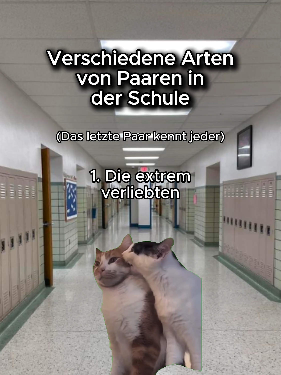 Welches Paar seid ihr?🤭 Markiert🥰 #katzenvideos🐈🐈 #katzen #lustigekatzenvideos #katzenliebe❤️ #katzenbeziehung #funnycats #witzigekatzen #katzenmemes #katzenalltag #lustigekatzen #katzenauftiktok #katzenvideo #katzenvideos #katzenbaby #katzenliebe