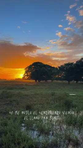 💛✨🌾🍂#estadosparawhatsapp #llanura #jorgeguerrero🇻🇪 