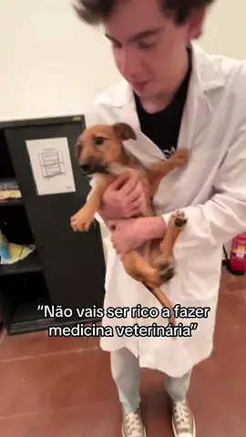 Não se escolhe Medicina Veterinária pelo dinheiro #fy#fyp#veterinaria#veterinary#veterinarymedicine#medicine#student#estudante#animals 