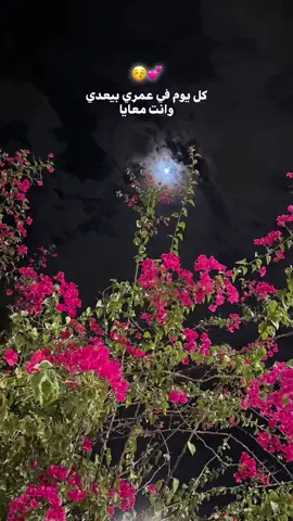 اجمل الليالي😚💕#fypppppppoppppppppppppppppppipfuyp #fuyyyyyyyyyyyy #foryourpage #اكسبلور #funnyvideo #explore #elissa #كل_يوم_في_عمري 