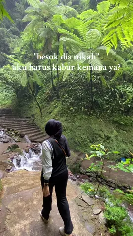 kalo iya, kemana ya..