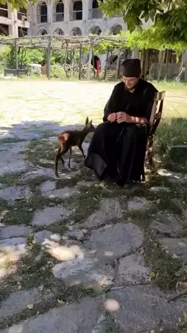 Greek Orthodox monk feeding a fawn . . . #Credit: filoi-esfigmenou  . . . #greece #monk #GreekOrthodoxmonk #fawn #animals #othodox #hellas #hellada #ellada #grecia