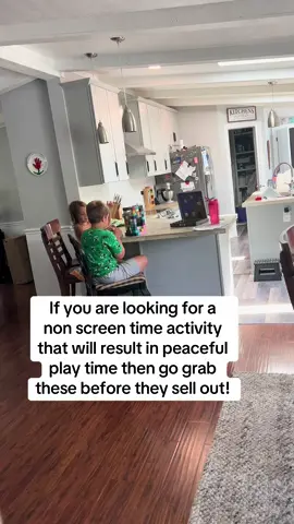 These are a must have for kids #play #fypp #kidsbelike #kidstoys #fypage #millenialmoms #MomsofTikTok 