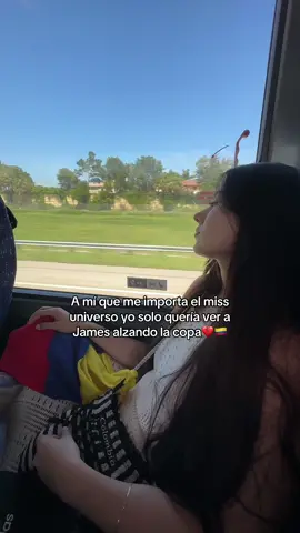 Que tusa tan horrible😭😭 va a doler toda la vida🇨🇴🇨🇴💔💔💔 #colombia #colombiano #colombian #colombianas #colombiatiktok #copaamerica 