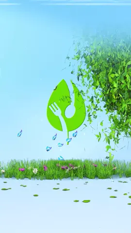✨Nature Logo 