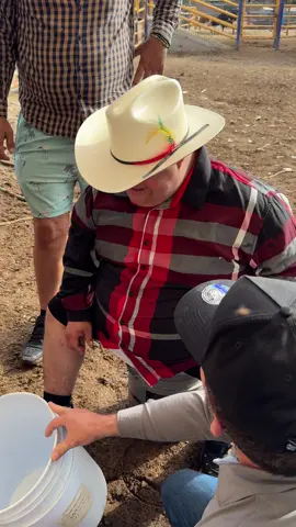 Ramoncito aprende a ordeñar una vaca #ramoncitoeldeculiacan #elreydeculiacan #culiacan #sinaloa #rancho