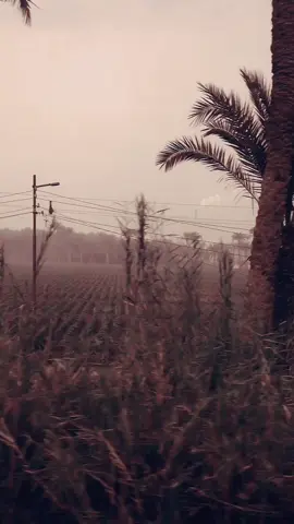 اللهم عديها على خير يارب 🌿♥️ #الشيخ_كشك_رحمه_الله  #اللهم_صلي_على_نبينا_محمد 