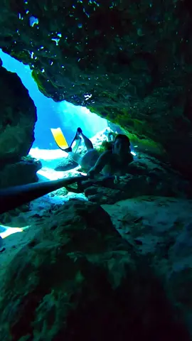 A little something to quell the discomfort of my last post 🩵😌 #underwater #freediver #freediving #swimthrough #aguacristalina 