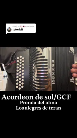 Replying to @📿🪗 #fyp#prendadelalma #acodeon#acordeontutorial 