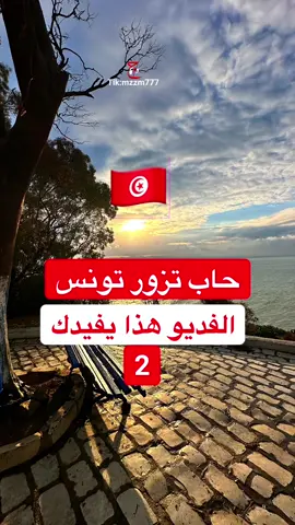 الفديو هذا وإللي قبله راح يفيدك في سياحة تونس بالأوقات والأماكن #تونس #تونس🇹🇳 #سيدي_بوسعيد #جامع_الزيتونة #سياحة #سياحه #سفر #قرطاج 
