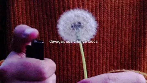 minha música favorita // #vienna #music #song #lyrics #lyricsvideo #tradução #billyjoel #gifs #editmusic #edit #capcut #edits #oldmusic #singer  #foryoupage 