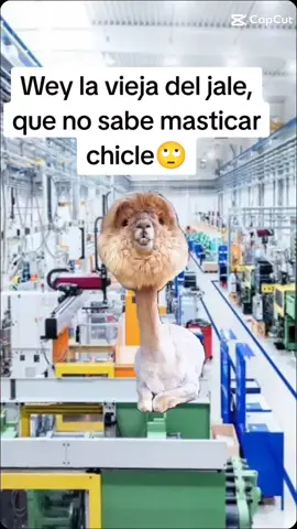 #CapCut 