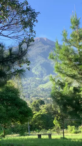 #pacet #mojokerto #pacetmojokerto #fyp 