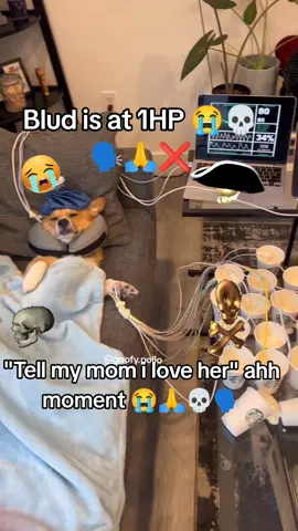 Blud MIGHT be joking to not pay them Bills ❌😭🗣️💀🚨 #memestiktok #bludify #funnytiktok #dog #funnymoments #skull #viral #fypシ゚viral #blud #billcollector #viraltiktok #fypp #foryoupage #goofy #goofyahhuncleproductions #goofyahhbeat #goofyahh #sound #funnyvideos #memes #blud #corgis #dogsoftiktok #funnyvideos #funny 