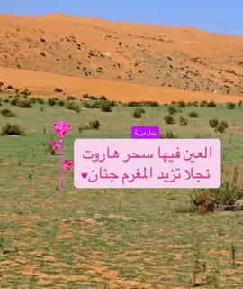 العين فيها سحر هاروت نجلا تزيد المغرم جنان #محمد_ال_ص_ال_ح🇸🇦 #محمد_محمد🤍🕊🌺🌸 #محاورة_قديمة #كسبلور #كسبلورر #كسبلوررررررر #كسبلو #كسبلو 