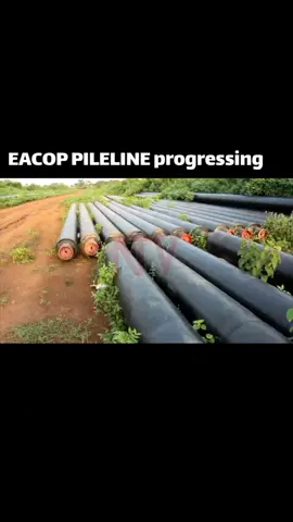 EACOP PILELINE PROJECT 🇺🇬 🇹🇿  is progressing as most of materials for use have arrived in Uganda 🇺🇬 and Tanzania 🇹🇿. #BUBU🇺🇬 #ugandanstiktok #foryourpage 