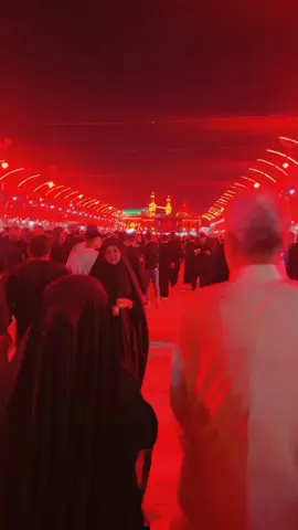 #كربلاء #ياحسين #ياعباس_قضي_حاجتي_وحاجت_كل_محتاج 