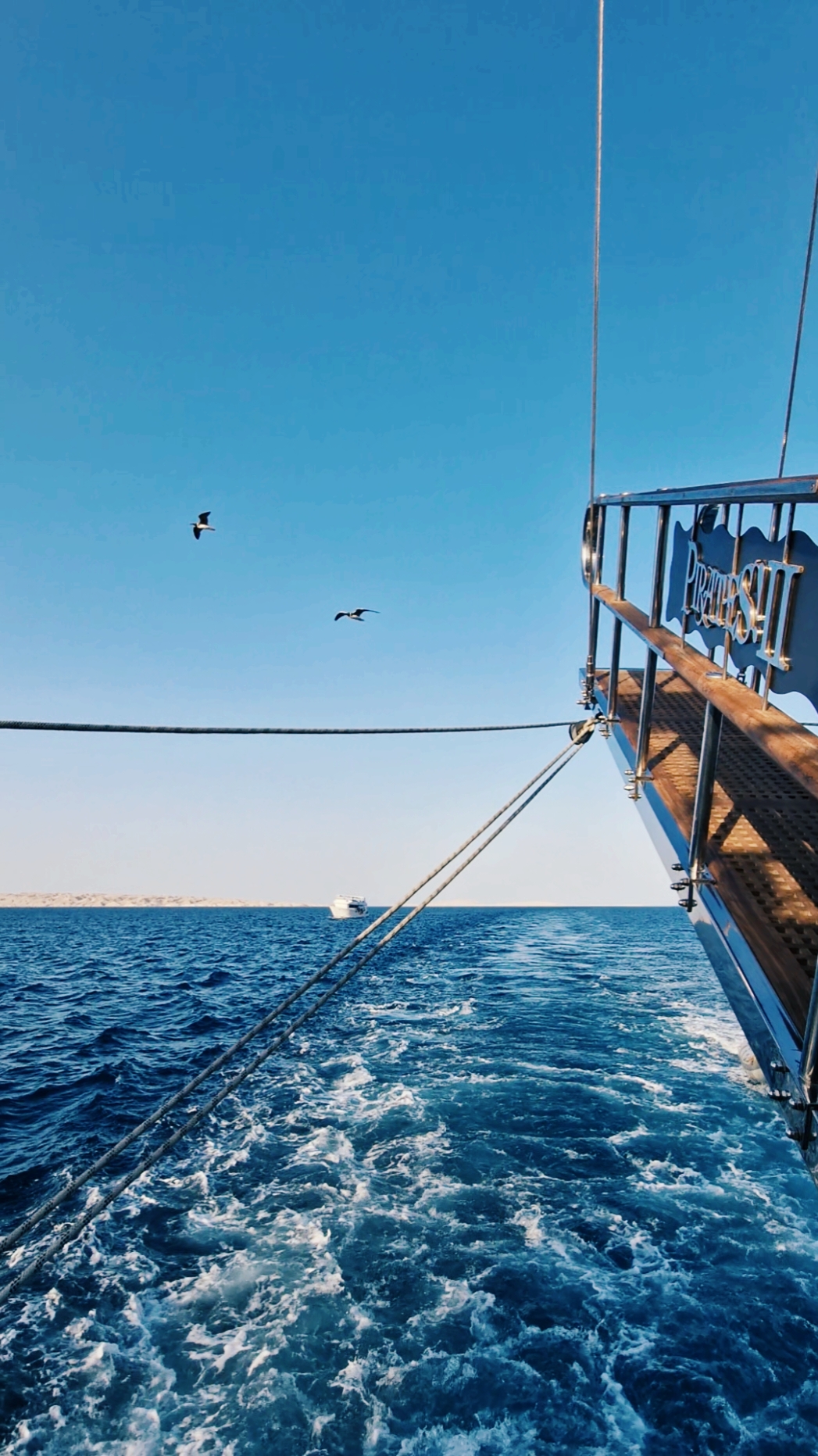 #يارايح_للي_فايتلي_عيوني_سهرانه_ولاداري 🖤 #أمانه_اوصفله_دمع_عيوني_طول_ليلي_ونهاري😞 #آه #منك #آه #مني #كل_ده_وقلبي_اللي_حبك_لسا_بيسميك_حبيب #لسة_بيسمييييك_حبيب💔 #Sing_Oldies #وردة_الجزائرية #viral #viral #viralvideo #fypage #explore #اغاني #الزمن_الجميل #ستوريات #حالات_واتس 