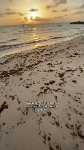 🚶🏽#foryoupage #fyyy #viral #trendtiktok #mnrmuniz#frases #praia 