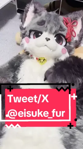 He wants a belly rub😍 .  .  .  .  #furry #furrys #fursuit #fursuiter #fursuiteveryday #furryfandom #furrytiktok #cutefurry #furrycommunity #fyp #fypシ 