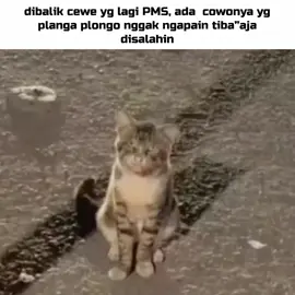 minum air putih aja banyak banyak🗿