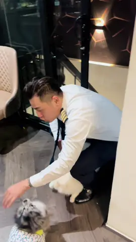 Flex nhẹ anh phi công nhà mình @Hoàng phi công #pilot #pilotlife #tik_tok #xuhuong 