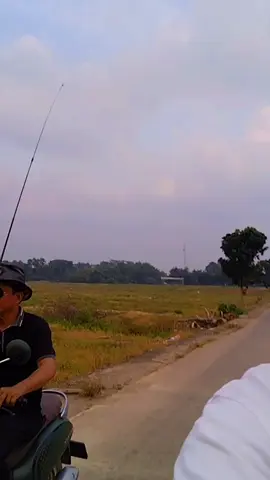 coboy kehilangan kuda nya