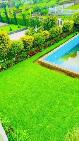 #natan_gardene❤✌ #gardenproject #garden #ethiopian_tik_tok #original #oromotiktok #fyp #viral #usa #uae #kenyantiktok #fypシ #tiktokindia #tiktokviral #like #oromo #china #my #storytime #stopmotion #