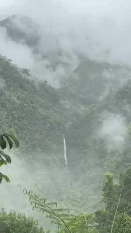 I could stare at this all day #naturetherapy #waterfall #rainyday 