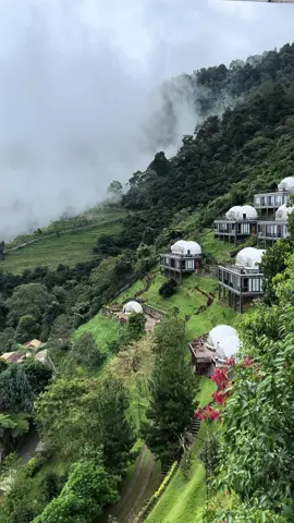#بونشاك_اندونيسيا#بونشاك#explore 