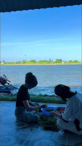 Mời anh theo em về đây, đâu có chi bằng quê mình miền tây.. 🌾🦐 #cô4ởmiềntây #mientay #côtư🦐 #cô4ơi🦐 #mientayquetoi #mientayvlogs #mientaysongnuoc #mientayquetoi🌴🌴🌴🌴🌴 #baclieu #hongdanbaclieu #baclieu94 