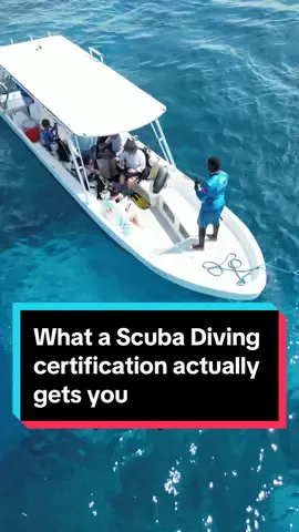 Anybody can go Scuba Diving, but reality & common sense  keep things in check 🤿🫵💦 #scubadiver #scubatiktok #scubatok #scubacertification #openwaterdiver #padi #scubadivingwithkenny 