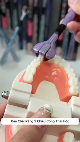 Bàn chải răng 3 chiều
