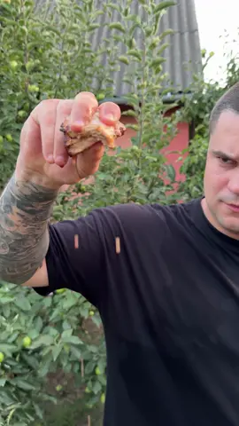 Найкращі набори шампурів.  Шукайте в інстаграм  shampurok_net Безкоштовна доставка 🚚  За промо кодом «Ігор»