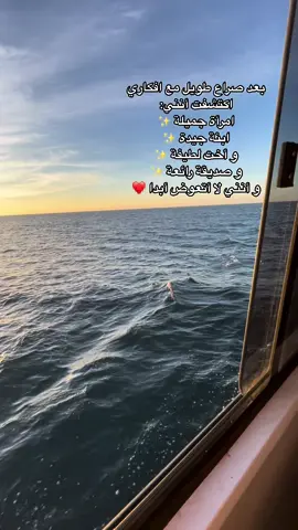 #fyp #fyppppppppppppppppppppppp #dz #alger 