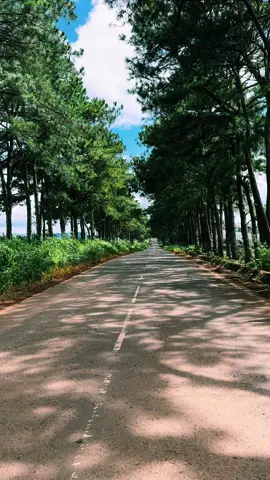 Con đường này ai đi qua cũng nhớ #lamhacogi #lamha #tuanduong 