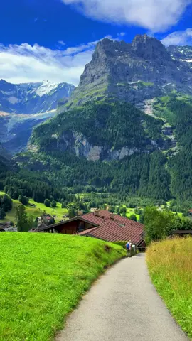 📍Grindelwald, Switzerland 🇨🇭 Follow for daily Swiss Content 🇨🇭 📌 Save this for your (next) trip to Switzerland 🇨🇭  🎥 by: @swisswoow  #berneroberland #switzerland #mountains #schweiz #swissalps #myswitzerland #nature #inlovewithswitzerland #Hiking #swiss #alps #wanderlust #visitswitzerland #travel #jungfrauregion #suisse #landscape #bern #thunersee #naturephotography #blickheimat #grindelwald #lauterbrunnen #interlaken #lake #switzerlandpictures #swissmountains #switzerlandwonderland #switzerland_vacations #photography
