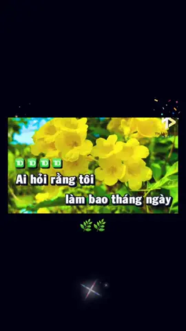 🥦🥦🥦🥦Làm bao🌿🌿🌿