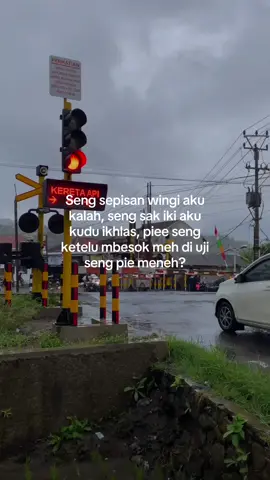 urip sepisan mung di gawe wirang wae #jowopride #cidro #xyzbca #fyp 
