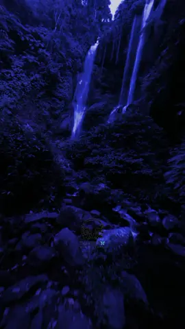 one lyrical et abiba🎧🎤#onelyrical #abiba #lyrics_songs #song #music #expresso 