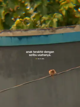 anak terakhir dengan seribu usahanya.#paragraf #yusuef131 