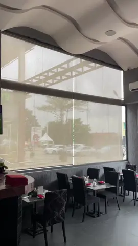 Roller Blinds 