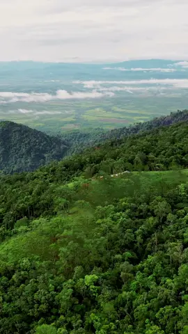 ខ្នងវាល​ - Knorng Veal 🌿 Title: Call of Silence Composer: Hiroyuki Sawano Drone: Lee Video Editing: @Hout’s Wanderings  #kardamir #mountaineering #kardamirmountaineering #mountain #kravanh #lostincambodia 