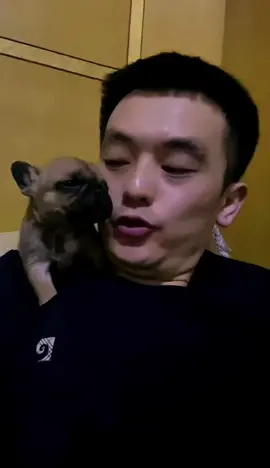 This skill is learned#fyp#frenchie #puppy#baby#cute#dogvoice 