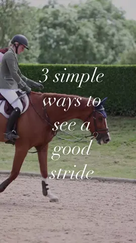 3 ways to help you see a good stride ✨ 1. Counting on approach This is my favourite trick-  it helps you keep an even rhythm/stride coming into the fence, helping you not to panic and take a pull or a kick. It gives you an ability to assess how you’re covering ground and visualise the stride you will end up on when you reach the jump. 2. Forward canter before approach!  Forward canter makes the jumps feel like they come to you rather than you having to get to them.  When you’re jumping your canter needs to have impulsion, as it allows you to be able to steady or push for a stride and still have power at take off. It’s much harder to create power 3 strides from a jump if you come in too collected than it is to steady a forward canter.  My top trick is to actively ask yourself to rate your own canter on the long side before you approach a jump, if it’s less than a 7 don’t go to the jump yet! 3. Understanding the course Knowing how many strides you have between jumps in a relative distance means as soon as you land you can count your strides be confident as to how many strides you have until take off. But remember, no one gets it perfect every time! #showjumper #showjumping #showjumpinghorses #horse #horses #horsejumping #jumpinghorse #horsehow #horserider #horsestagram #horsesofinstagram #horselove #horsetraining #horsereels #whodiditbest #horsegirl #horseygirl #horseylife #ridinginstructor #ridingcoach #ridinghorse #ilovemyhorse #horseoftheday #instahorse #horseyvideo #horsevideo #horseedit