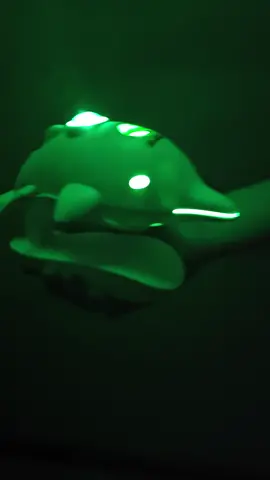 Dolphin Galaxy Starry Sky light 